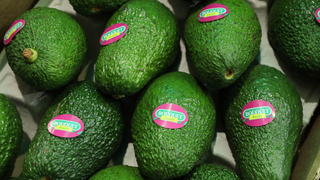 Someone Tell Margaret Atwood There's Diet Avocados Now